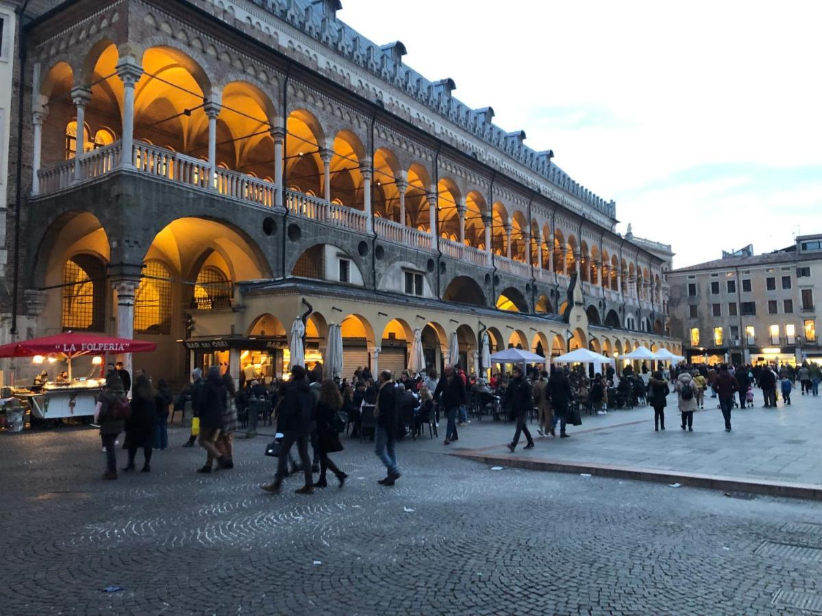 Residence Dei Frutti Pieno Centro - Il Cedro 帕多瓦 外观 照片
